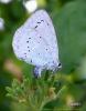 44459 – Photo : christine le fur – France (91)