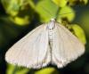 44086 – Photo : Vincent Derreumaux – France (84)