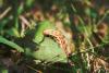 44469 – Photo : Gandrey Clementine – France (13)
