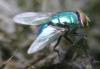 44873 – Photo : David Guedon – France (76)