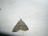 45065 – Photo : Denis Vandromme – France (36)