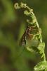 45350 – Photo : Yannick Jacob – France (27)