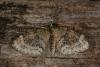 45563 – Photo : Emmanuel Freri – France (37)