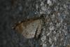 45799 – Photo : Emmanuel Freri – France (37)