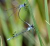 45903 – Photo : FATON Jean-Michel – France (13)