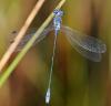 45934 – Photo : FATON Jean-Michel – France (13)