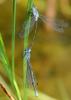 45935 – Photo : FATON Jean-Michel – France (13)