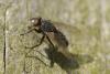 45693 – Photo : jean-claude bernard – France (29)