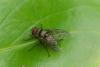 45993 – Photo : jean-claude bernard – France (29)
