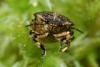 45037 – Photo : Sebastien Damoiseau – France (18)