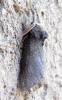 45467 – Photo : Louis Weitten – France (57)