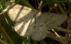 45137 – Photo : pendruc – France (83)