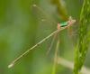 46825 – Photo : Pierre Duhem – France (36)