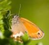 46405 – Photo : Pierre Duhem – France (36)