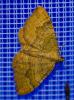 46581 – Photo : Pierre Duhem – France (36)
