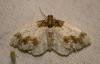 46536 – Photo : Pierre Duhem – France (36)