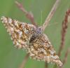 46452 – Photo : Pierre Duhem – France (36)