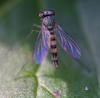 46824 – Photo : Pierre Duhem – France (75)
