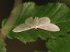46000 – Photo : Michel Ehrhardt – France (68)