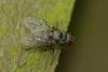 46080 – Photo : jean-claude bernard – France (29)