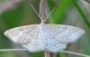 46263 – Photo : Vincent Nicolas – France (16)
