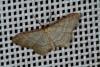 46003 – Photo : Emmanuel Freri – France (37)