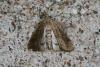 46042 – Photo : Emmanuel Freri – France (37)