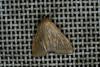 46111 – Photo : Emmanuel Freri – France (37)