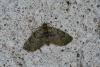 46382 – Photo : Emmanuel Freri – France (37)
