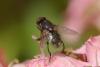 46792 – Photo : jean-claude bernard – France (29)