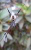 46931 – Photo : TheoG – Madagascar