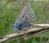 46915 – Photo : Fred More – France (22)