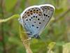 46920 – Photo : Fred More – France (22)