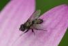 46782 – Photo : jean-claude bernard – France (29)