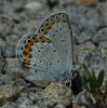 46344 – Photo : Pelouard – France (26)
