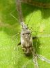 47996 – Photo : Anne Forgues – France (11)