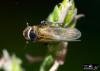47604 – Photo : Jean Claude Lutrand – France (76)