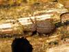 47849 – Photo : Vincent Lefebvre – France (40)
