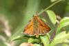 47009 – Photo : Emmanuel Freri – France (37)