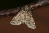 47044 – Photo : Emmanuel Freri – France (37)