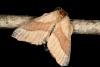 47045 – Photo : Emmanuel Freri – France (37)