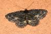 47087 – Photo : Emmanuel Freri – France (37)