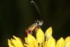 47090 – Photo : Emmanuel Freri – France (37)