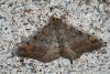 47128 – Photo : Emmanuel Freri – France (37)