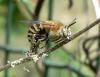 47460 – Photo : gauthier – France (38)