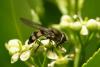 47487 – Photo : jean-claude bernard – France (29)