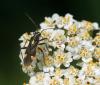 48387 – Photo : patrick derennes – France (44)