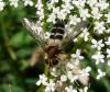 48108 – Photo : Patrick Straub – France (68)