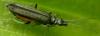 48711 – Photo : Christian Widmann – France (73)