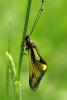 48232 – Photo : Aurelien Daloz – France (11)